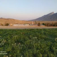 ۳هکتار زمین آبی|فروش زمین و ملک کلنگی|دره شهر, |دیوار