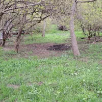 فروش باغ|فروش زمین و ملک کلنگی|کلیبر, |دیوار