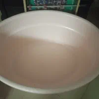 یک عدد وان نو