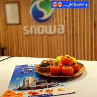 ساید باید ساید اسنوا مدل32فوت|یخچال و فریزر|ایلام, |دیوار