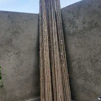 چوب بادام وگردوتکانی فروش به صورت کلی وجزئی|خدمات باغبانی و درختکاری|همدان, |دیوار