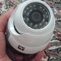 کاملا سالم