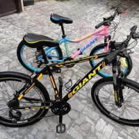 دو عدد دوچرخه 26 و24 جاینت دنده ای سالم