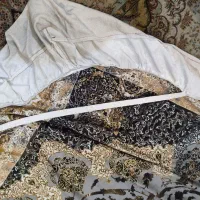 روفرشی دورکشدار|روفرشی|لاهیجان, کوی آزادگان|دیوار