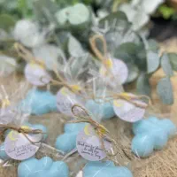 گیفت مناسبتی برای مدارس  .جشن قرآن.جشن آب و..|صنایع دستی و سایر لوازم تزئینی|میانه, |دیوار