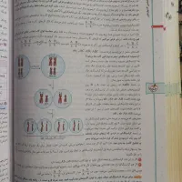 زیست دوازدهم|کتاب و مجله آموزشی|قم, هفت تیر|دیوار
