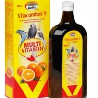 مکمل عروس هلندی گرینچیک کاسکو راهب قناری