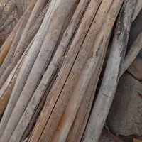 خریدار چوب|خدمات باغبانی و درختکاری|سراب, |دیوار