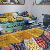 کل لوازم میوه فروشی