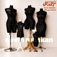 منشی خانم فعال