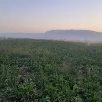 اجازه زمین کشاورزی آبی