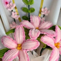 گل جاودان پیپ پاکنی