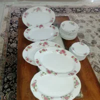 ظروف گل سرخی