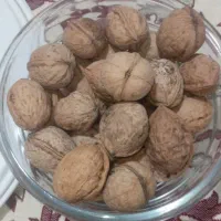 گردو و مغز گردو