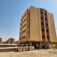 فیش-مسکن-به-بالاترین-قیمت