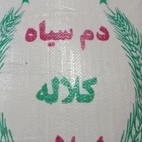 برنج طارم دم سیاه کلاله