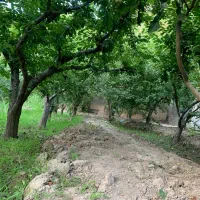 630متر-چهاردیواری-قدیمی