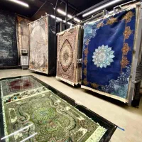 فرش شاهان 9009 در ابعاد مختلف12.6.9متری|فرش|شیراز, لاله|دیوار