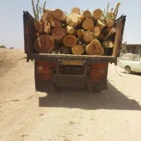 خرید چوب با قیمت بالا نقدی