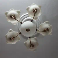 لوستر ۵ شاخه|لوستر و چراغ آویز|کرمان, |دیوار