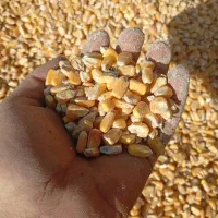 کنسانتره پرواری وشیری درجهیک مخصوص دام سبک وسنگین|حیوانات مزرعه|قم, بکایی|دیوار