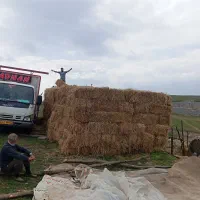 کاه برنج توافقی