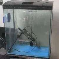 آکواریوم ماهیران. آکوا. دلسا و فلاور|ماهی|ری, شهرری|دیوار