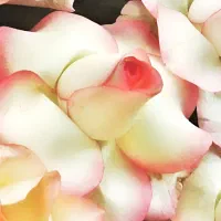 خدمات و سفره عقد|خدمات پذیرایی، مراسم|اصفهان, آبشار|دیوار