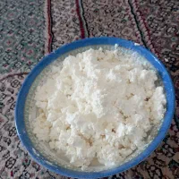 ماست تلومی گوسفندی