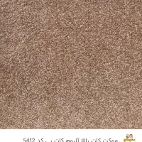 پالاز موکت کات و زیبا|موکت|رشت, گلسار|دیوار