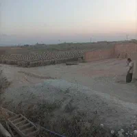 چرخ کش وایگان