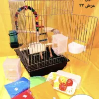 قفس طوطی کاسکو عروس هلندی برزیلی گرینچیک ملنگو