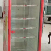 یخچال نوشیدنی تک در