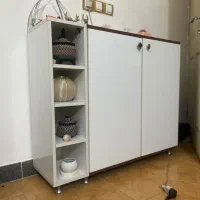 جا کفشی