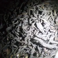 بسته بندی چای و تمیز کردن