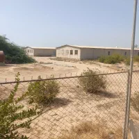 سرمایه گذاری وشراکت در مرغداری