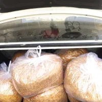پیاز داغ خانگی(پیاز سرخ کرده) و سیر داغ|خوردنی و آشامیدنی|تهران, خلیج فارس|دیوار