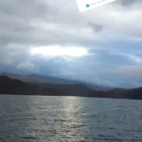 بیلیط استخر شهروند