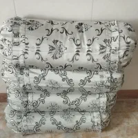 روپالشتی