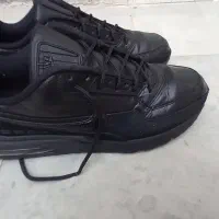 کتونی اورجینال|کیف، کفش، کمربند|مراغه, |دیوار