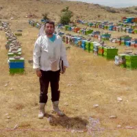 عسل طبیعی دارویی درمانی|خوردنی و آشامیدنی|تهران, ونک|دیوار