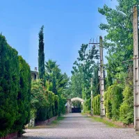 فلت همکف فضای سر سبز مشجر|فروش خانه و ویلا|تهران, تهرانپارس شرقی|دیوار