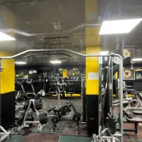 استخدام مربی بدن سازی و شنا|استخدام آموزشی|تهران, مشیریه|دیوار