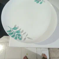 سرویس آکروپال|ظروف سرو و پذیرایی|ساوه, |دیوار