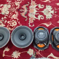 فروش ظبط و باند