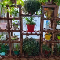 شلف/استند گل