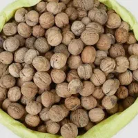 روغن گوسفندی|خوردنی و آشامیدنی|شیراز, شاهچراغ|دیوار