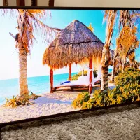 ال ای دی 50 الجی تمام هوشمند دوگیرنده 4k درحدآکبند