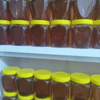 عسل برداشت دوم گَوَن