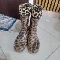 چکمه پلنگی|کیف، کفش، کمربند|رشت, گلباغ نماز|دیوار